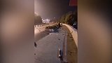 惨烈！四川绵阳一轿车凌晨撞桥墩侧翻 致一死三伤