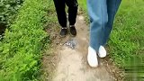 四川方言：老表偷柚子去卖，分钱的时候被抓住，笑的肚子疼