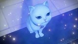 猫妖的诱惑：冉冉修炼的能量还挺纯粹