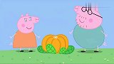 小猪佩奇：猪爸爸很喜欢吃南瓜派，特意种了南瓜，比小孩子都大