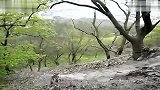 旅游-苏州灵岩山