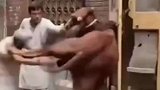 这个牛会断子绝孙腿