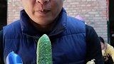 向往的童趣：谁会吃到黄瓜呢