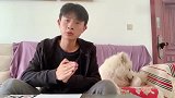 在村里捡到的萨摩耶，带着泰迪再次跑丢，被人关起来