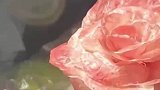 室友送柚子，女生用皮做玫瑰花回赠