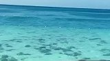 我希望，每天醒来的时候能看见你，开窗的时候能看到海。