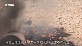 美国孤立伊朗失败大批F15战机发动空袭 伊盟友损失惨重