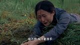白鸽掉进沼泽，晓虹赶忙回头救她，竟把她给拖上岸
