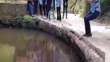 脑子是个好东西啊