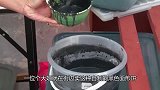 大姐街边卖“黑色”小吃，路人嫌脏不愿买，内行摇摇头：不识货