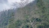 山路每跑50公里我都会停下来一次