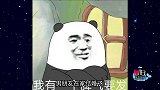 抓拍到猫猫幼儿园大型霸凌现场，好凶残啊！