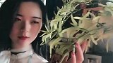 秀气的白衣美女飘飘欲仙的感觉