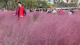 游客踩草凹造型，大爷怒骂