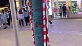 会拉车，会爬树，会撒娇的猫妹你不爱？ 重燃火之意志  西铁城腕表 哈哥猫妹