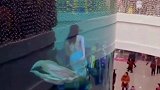 你的前世是什么？学生党 免费测试