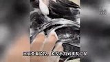 女子美发店洗头时遭猥亵，胸前测出店员生物信息，店方：赔2万元