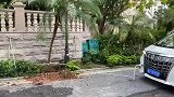 价值百万的保姆车用来拔树，土豪车主会玩啊！