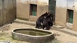 本来我就闹肚子，看到这面更不舒服了