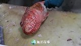 这种鱼你吃过吗？虽然有毒刺，但煲汤太美味！
