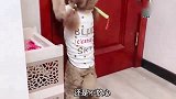 小泰迪前二天中毒了，孙玛丽学中毒的样子给大家看，好搞笑