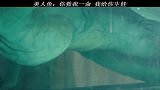 美人鱼：你救了我一命，我就给你生娃