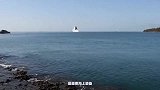 航母竟是罪魁祸首，大批鱼类命丧巨大水流漩涡，下场令人心痛