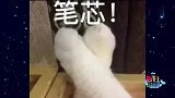 隔离之后网友们都是这么晒太阳的？