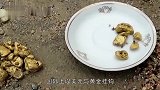 世界上“最危险”的金矿，遍地都是金子，却没人愿意去挖