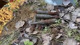 二战战场才能挖到的大口径弹药，时隔70多年不知道威力如何！