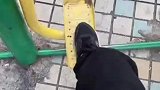 看到最后我就放心了