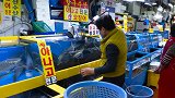 韩国海鲜市场，鲜活的鳗鱼拿来做刺身，蘸着辣酱吃味道美极了