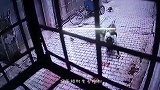 这名男子做错了什么？被一群猴子追杀，场面一度失控！