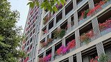最美空中花园！小区30层楼外开满三角梅 业主开门迎面是花丛