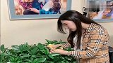 金毛让女主开车带它去兜风，接下来太逗了