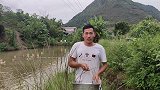 小伙户外打野抓鱼有一套，今天抓到好多大货，太开心了