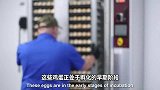 美国大型现代化养鸡场，为鸡蛋注射疫苗保护鸡肉健康！
