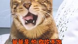 每个孩子都有属于自己的空间，要尊重他们