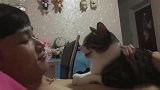 狸花猫：把你的臭嘴拿开！铲屎官：这猫翻脸比翻书还快