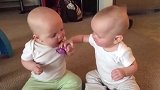 妈妈简直太坏了，就买一个奶嘴，两个小萌娃抢来抢去，哭的好可怜