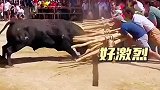 众人大战猛牛，太激烈了