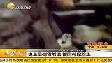 世上最倒霉熊猫 被同伴尿脸上