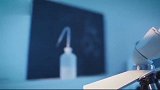 粒子如何区分是否有生命石头和人都由粒子组成，石头却没有生命