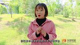 夸奖粉丝才能领装备，一人只能夸一条，学生使用分身领走所有装备
