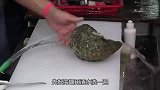 顶级厨师处理“巨大”海螺，小刀一挖再切成片，忍不住咽口水了