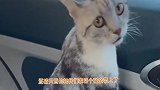 花臂大佬第一次见粉色沙滩