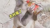 这啥呀有点迷糊啊