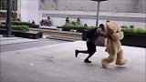 泰迪熊搞笑，一看就是欠揍了，还跑的那么慢有趣