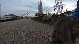 公园遇见一只流浪猫，发现有点不对劲，细看耳朵气坏了