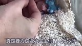 世界上最小的婴儿，只有拇指大小，看完心都萌化了！